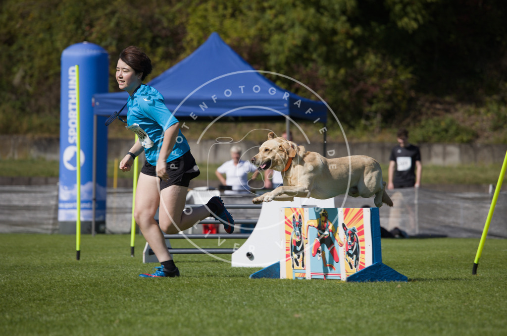 0L8A7397 | Hundefotografie, Tierfotograf, Pfotenfotografie, Fotoshooting Hund, Hunde Portrait, Hundesport, Hundeportraits, Heideshooting, Hunde, Sportfotograf, Hundefotograf, Turnierhundsport, THS,  - Realisiert mit Pictrs.com