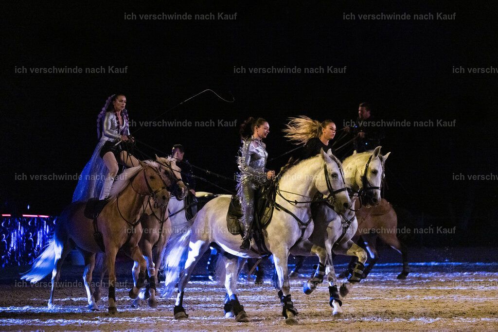 Gala-343 | working equitationturnier fotograf videograf stoibphotography marixx film working equitation deutschland reitsport turnierfotografie eventfotografie equestrian events