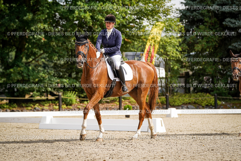 DSC07392 | Pferdegrafie