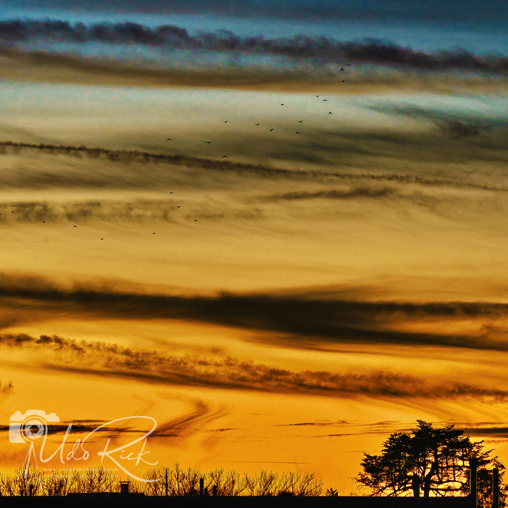 Goldene_Stunde_MDK | Entdecken Sie Fotografie aus Leidenschaft: Auftragsfotografie, HD-Fotos, Geschenkartikel aus Ihren Bildern und vieles mehr. Beauftragen Sie uns für besondere Momente!