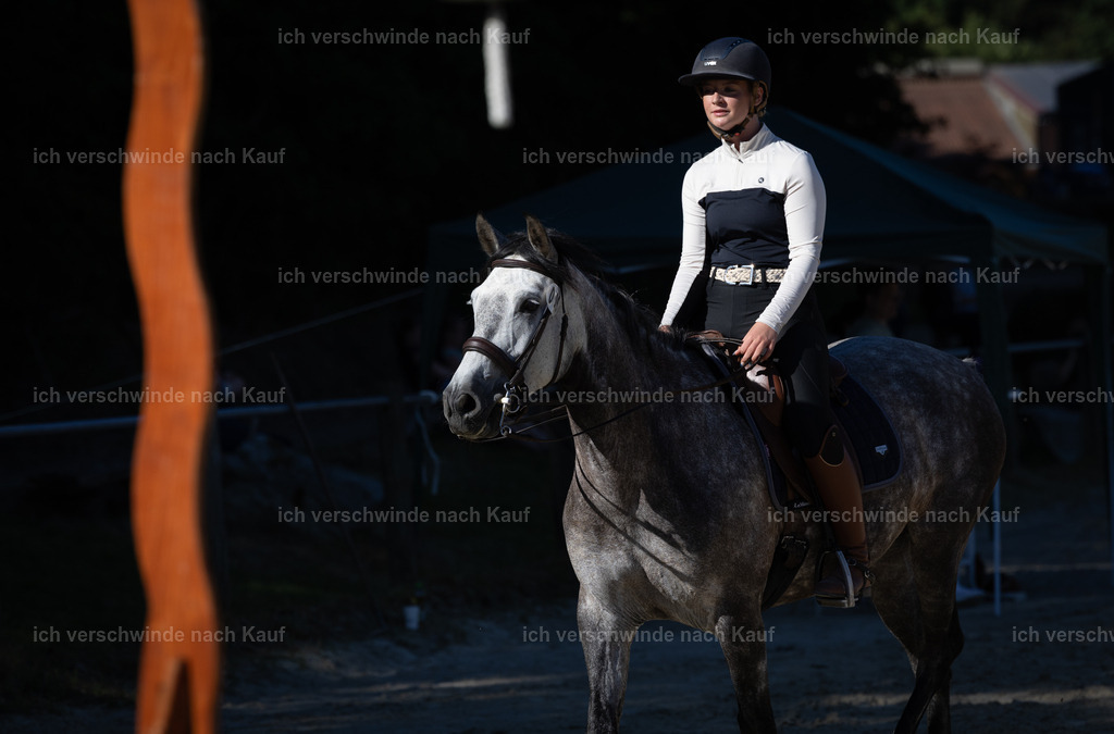 WL_Speed_6_KerstinBernhardt-9 | working equitationturnier fotograf videograf stoibphotography marixx film working equitation deutschland reitsport turnierfotografie eventfotografie equestrian events