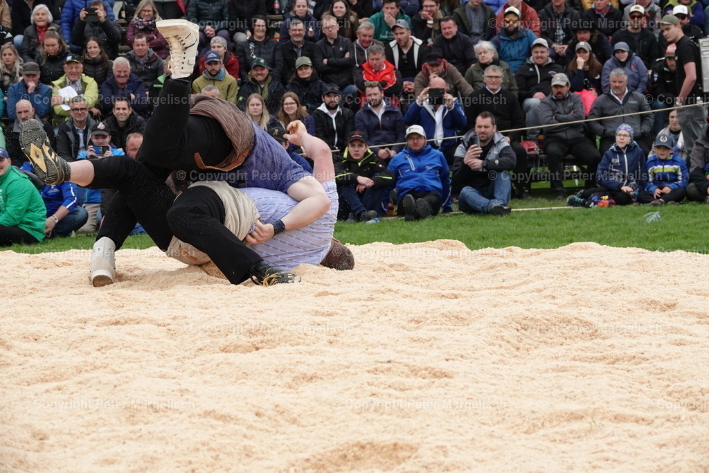 DSC03343 | Schwingen - Realisiert mit Pictrs.com