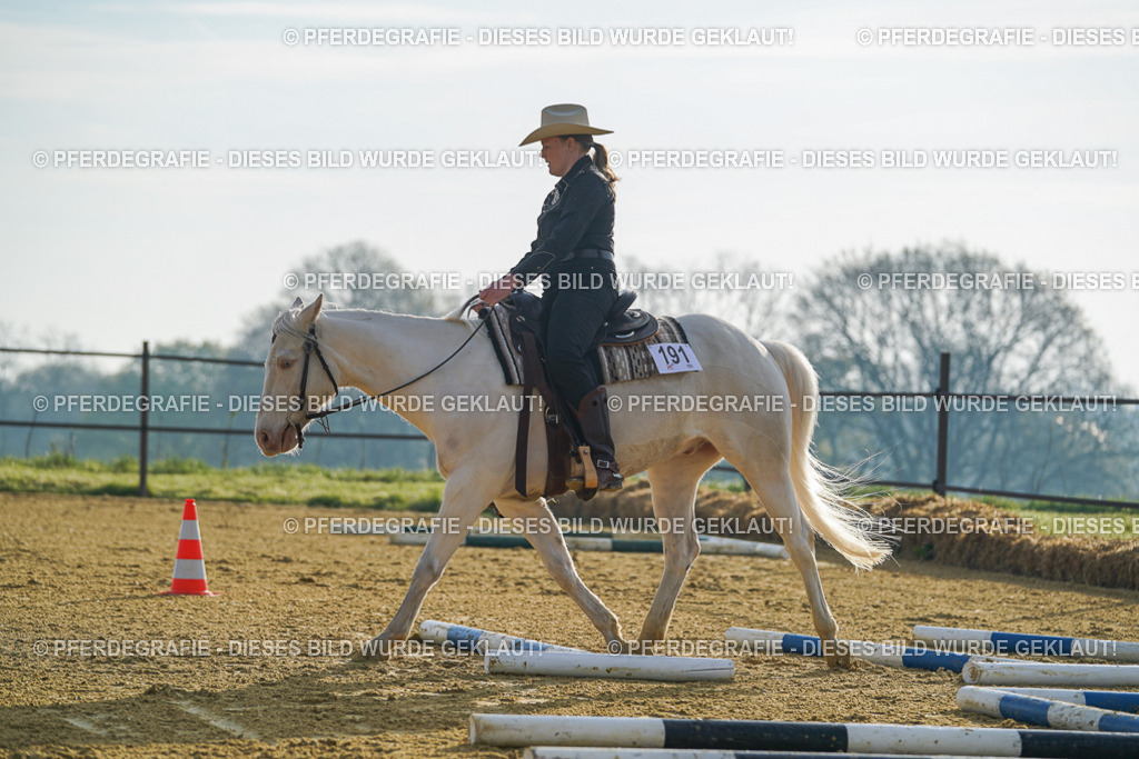 DSC00055 | Pferdegrafie