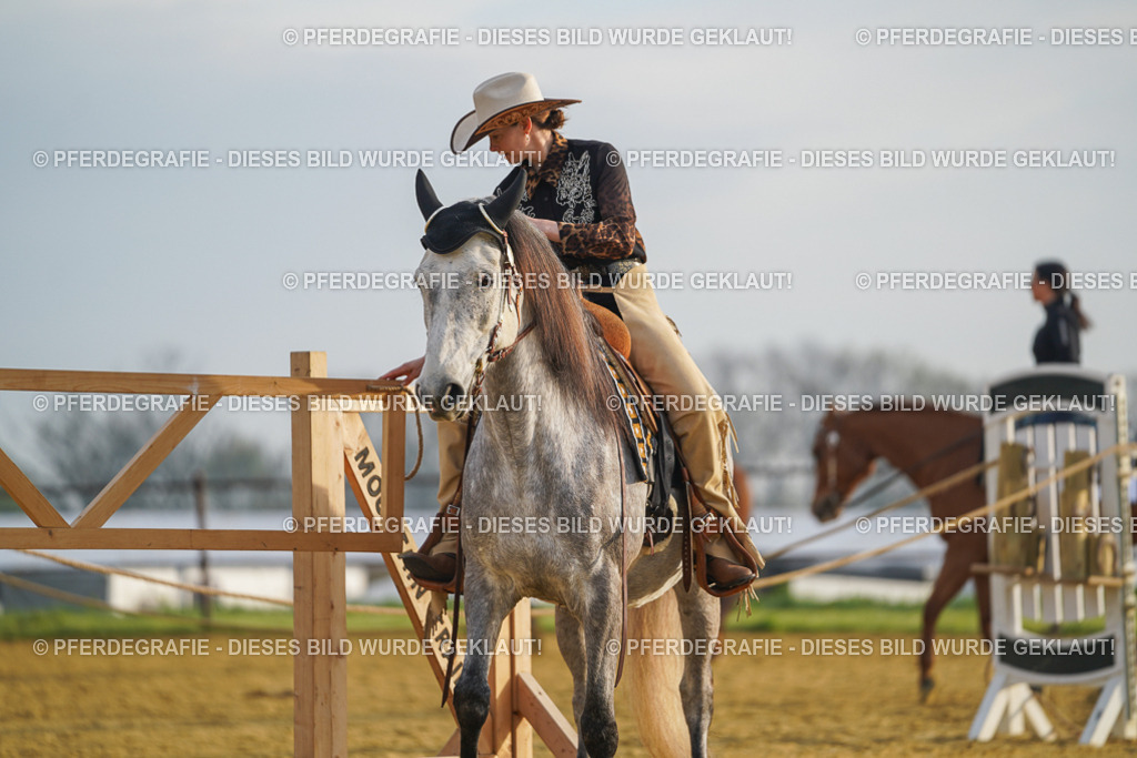 DSC09674 | Pferdegrafie