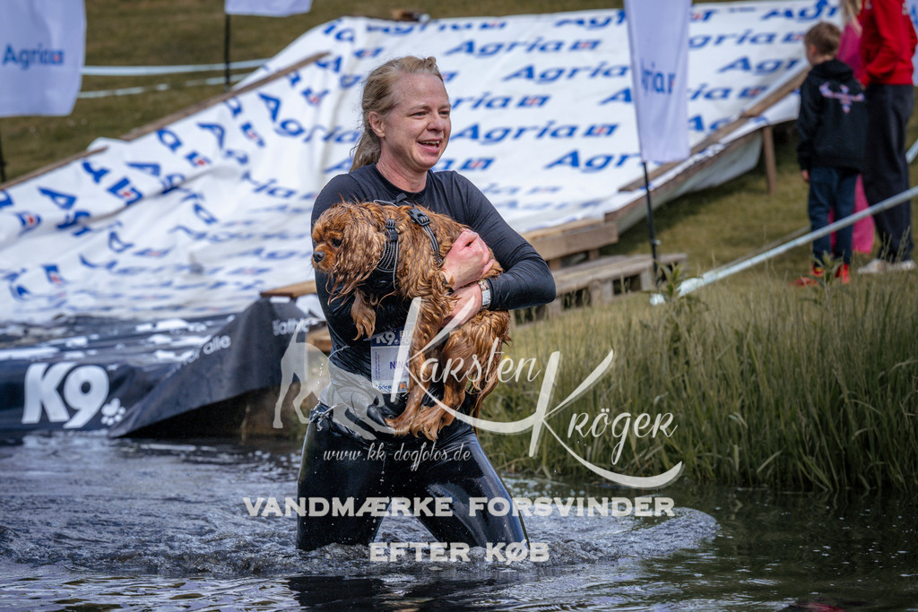 _ZZ910520911 | kk-dogfotos