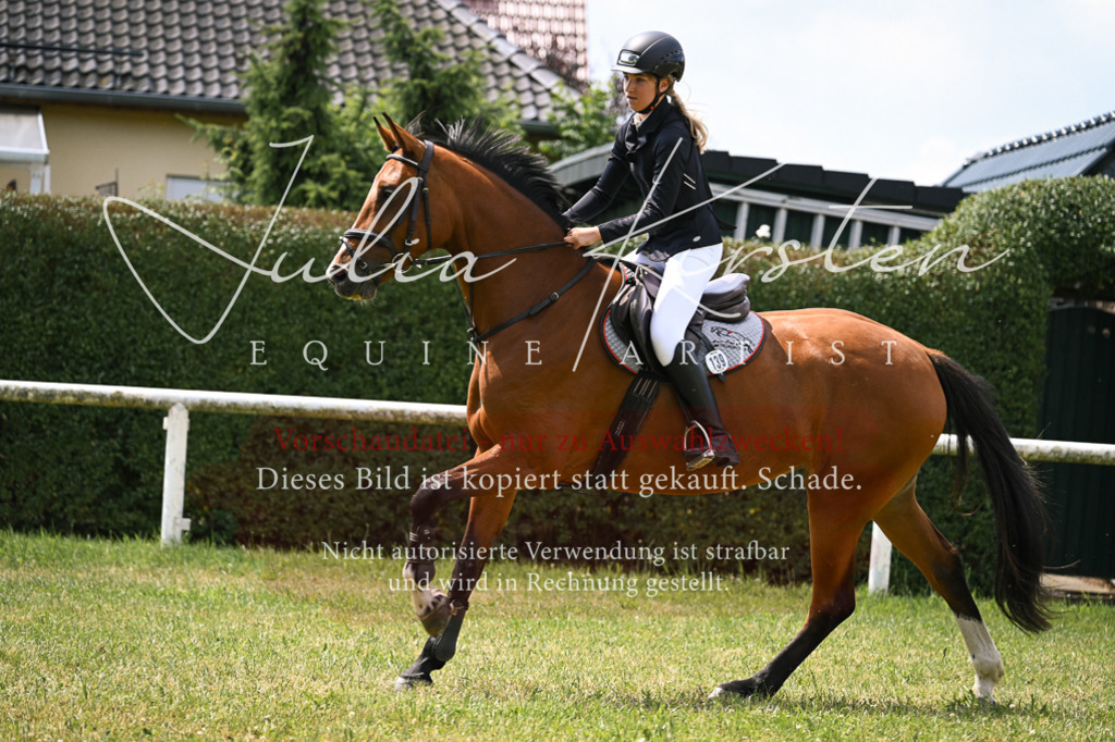 DSC_9276 | Pferde- und Turnierfotografie in Westsachsen. Pferdeportraits, Auftragszeichnungen und intuitive Kunst.