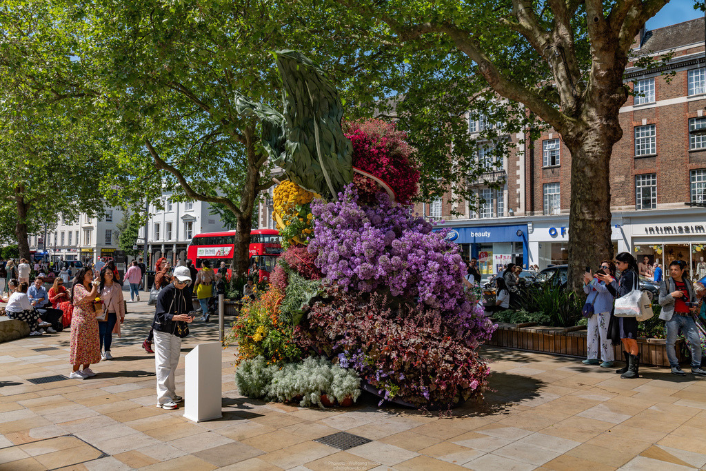Chelsea Flower Show in London UK | Beatiful Flower Arragements during the Chelsea Flower Show in London in UK - Realisiert mit Pictrs.com