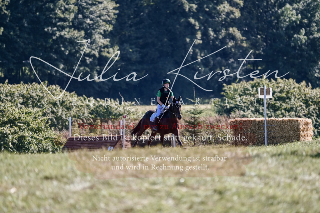 DSC_3588 | Pferde- und Turnierfotografie in Westsachsen. Pferdeportraits, Auftragszeichnungen und intuitive Kunst.