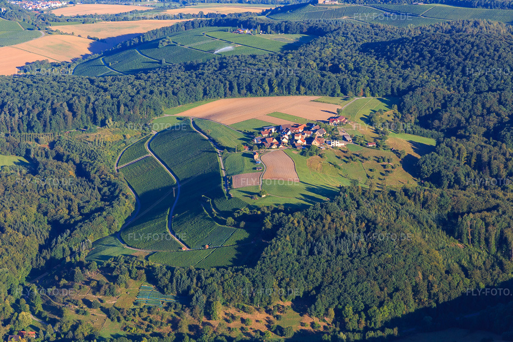 Luftbild: Ortsteil Gagernberg über Weinberghängen im Ortsteil Jettenbach in Beilstein im Bundesland Baden-Württemberg in Deutschland. Foto: IMG_093757.jpg vom 23.08.2016 durch Werner Riehm/FLY-FOTO.de