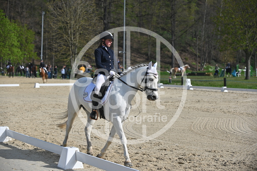 DSC_0527 | sattelsport - Realisiert mit Pictrs.com