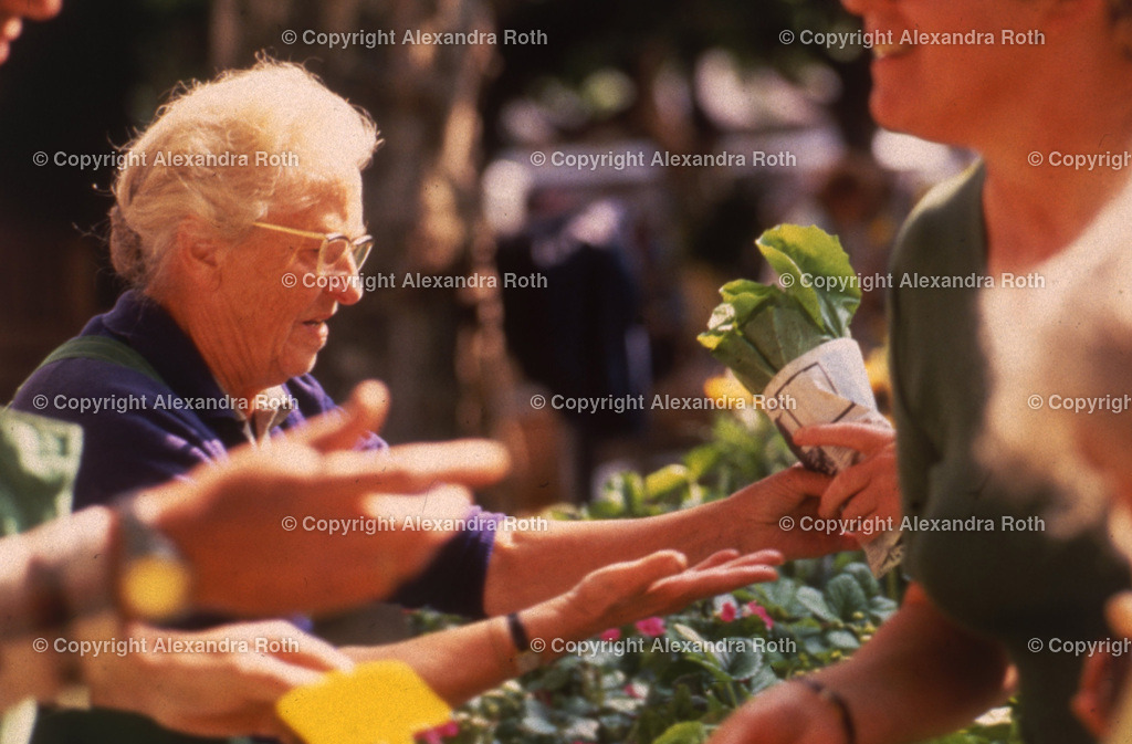 Aarau_0534 | onlineshop - Realisiert mit Pictrs.com