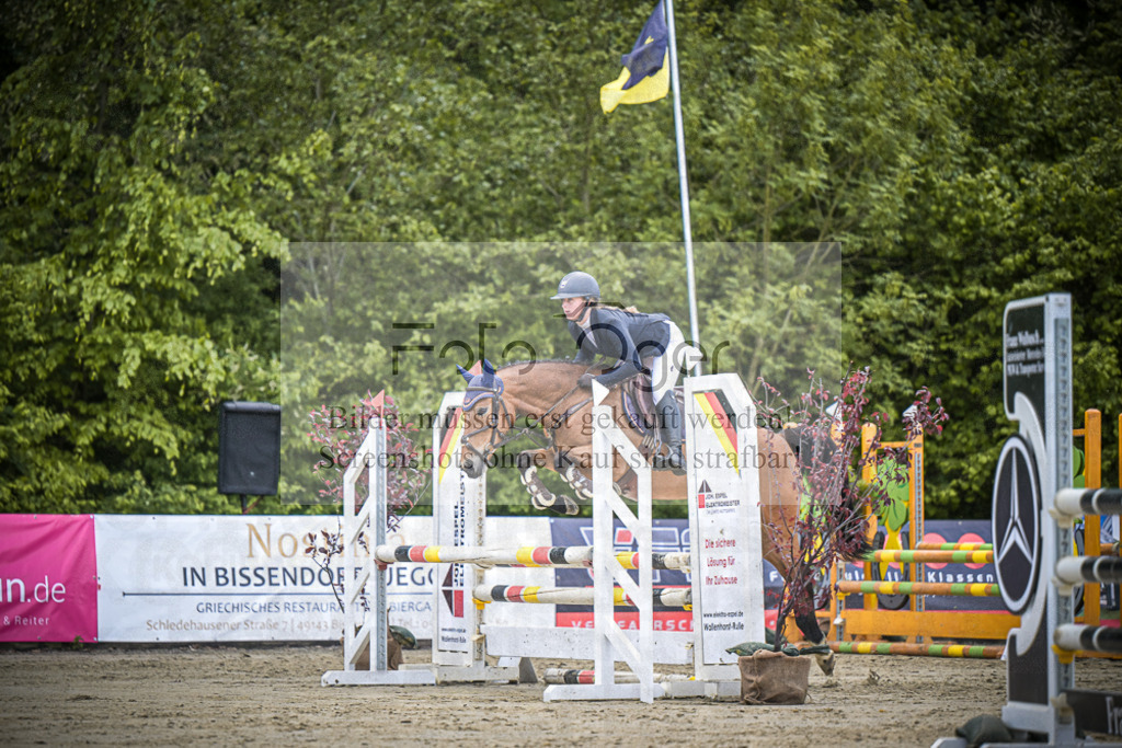 DOS_6567 | Entdecke hochwertige Reitturnierfotos von Foto Oger. Professionell, emotional und authentisch – jetzt Lieblingsmomente im Shop bestellen.Deutschlandweite Turnierfotografie. - Realisiert mit Pictrs.com