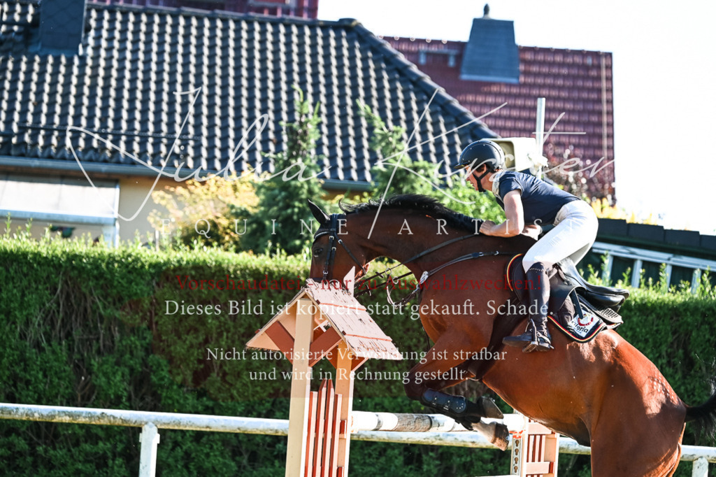 DSC_2709 | Pferde- und Turnierfotografie in Westsachsen. Pferdeportraits, Auftragszeichnungen und intuitive Kunst.