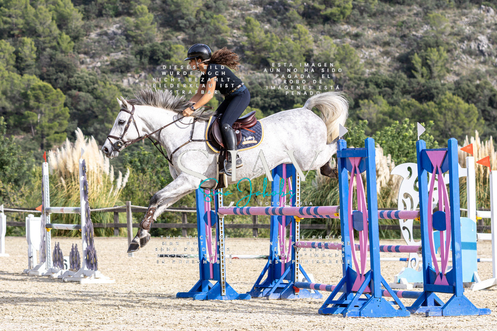 IMG_4119 | s-jay-photography - Realisiert mit Pictrs.com