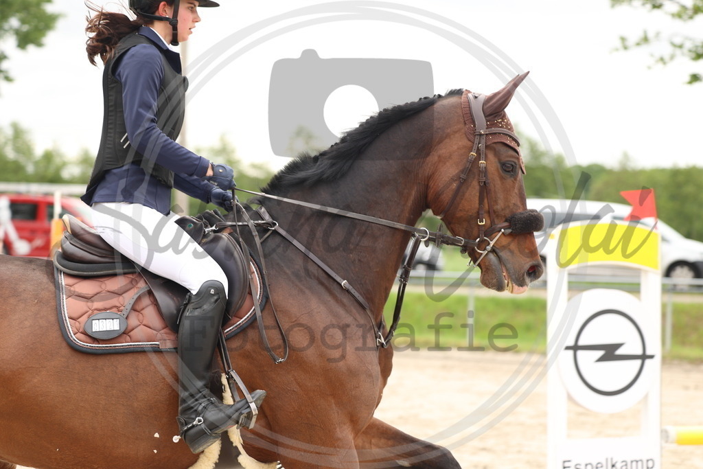 994A8886 | sabrinanicolaifotografie - Realisiert mit Pictrs.com