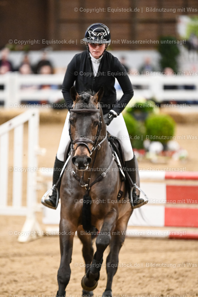 20260307_Hengstvorstellung-Marbach_0125 | equistock