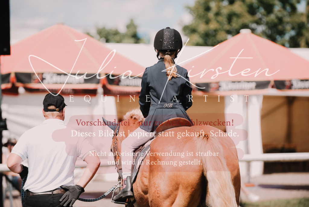 DSC_6232 | Pferde- und Turnierfotografie in Westsachsen. Pferdeportraits, Auftragszeichnungen und intuitive Kunst.