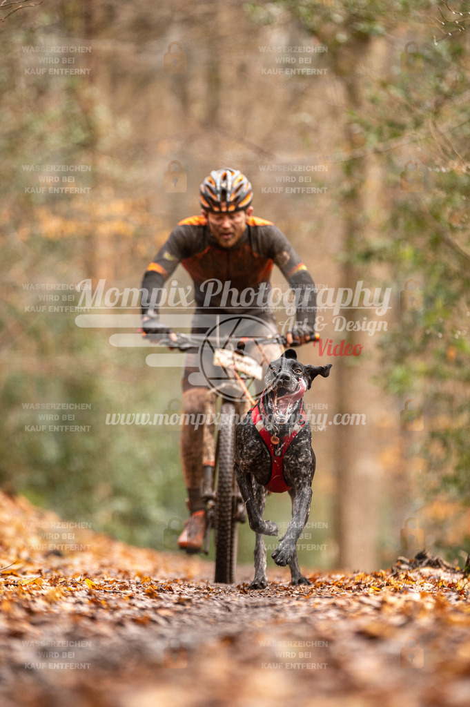SPA_2023_DIM_Bike-21 | PayLife