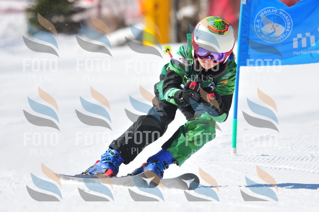 C3610 | holidayphoto