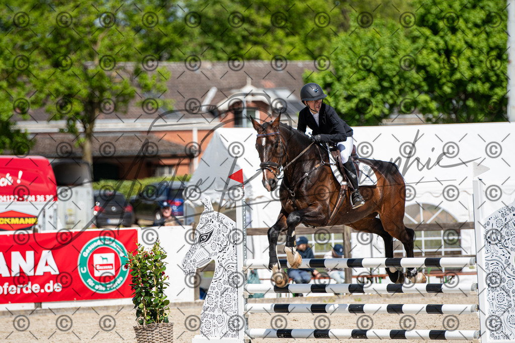 KPT_5206 | andre_photographic