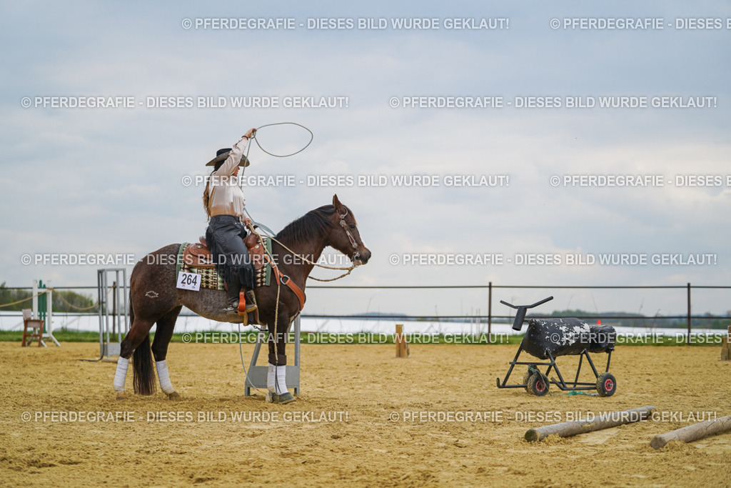 DSC07435 | Pferdegrafie