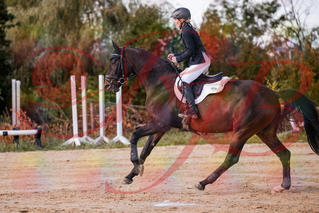 2026_10_03_Siefer-Hof_144050_Z81_12203297 | Professionelle Reitsport-, Turnier- und Eventfotografie von Robert Broda. Galerien mit ausgewählten und bearbeiteten Bildern direkt online ansehen und bestellen.