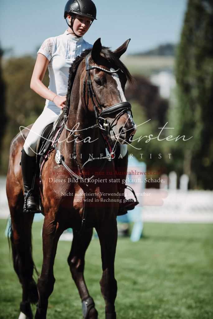 DSC_3352 | Pferde- und Turnierfotografie in Westsachsen. Pferdeportraits, Auftragszeichnungen und intuitive Kunst.