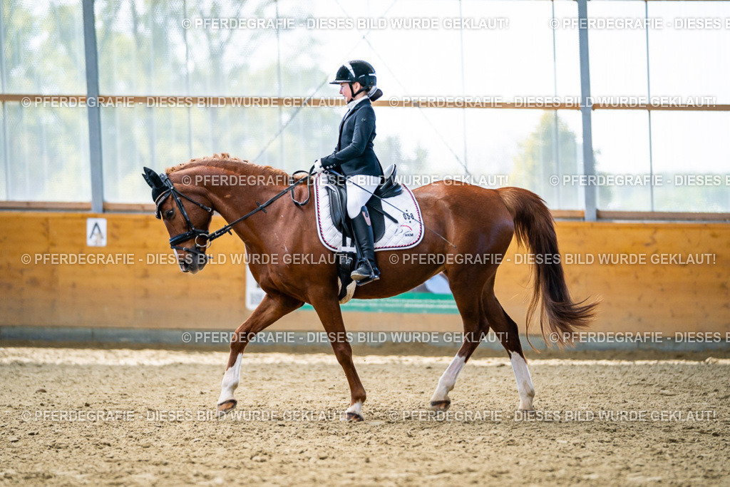 DSC05142 | Pferdegrafie