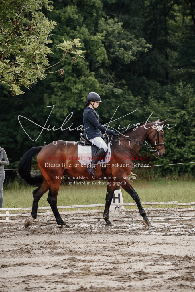 DSC_8575 | Pferde- und Turnierfotografie in Westsachsen. Pferdeportraits, Auftragszeichnungen und intuitive Kunst.