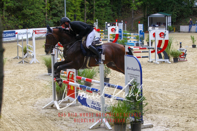 DKP40365 | Turniersportfotografie; Pferdefotografie; Dressurfotografie