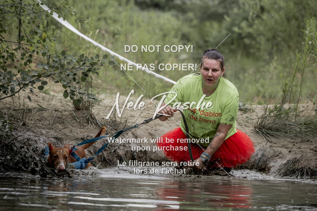 nelerasche_so1445-1515_304 | nelerasche