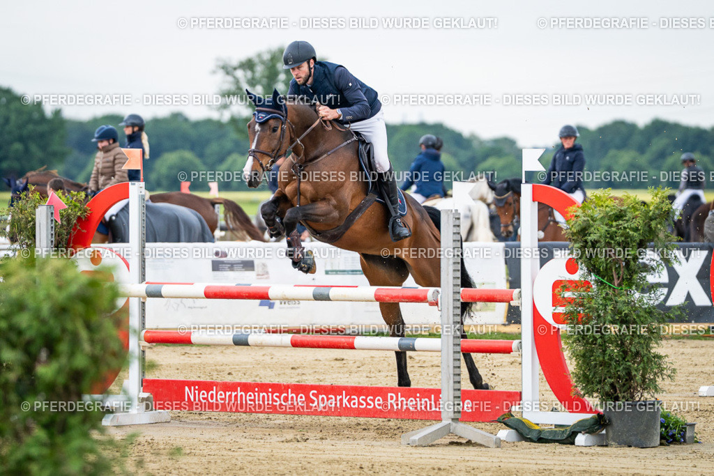 DSC05583 | Pferdegrafie