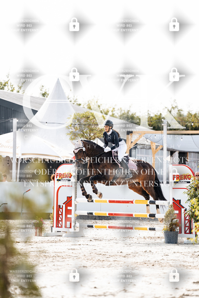 CK905608 | Turnierfotografie Pferdefotografie Trier Rheinland-Pfalz Pferdesport Reitsport Tierfotografie Sportfotografie Pferdevideo Pferdevideografie Equestrianvideography equestrianphotography  - Realisiert mit Pictrs.com