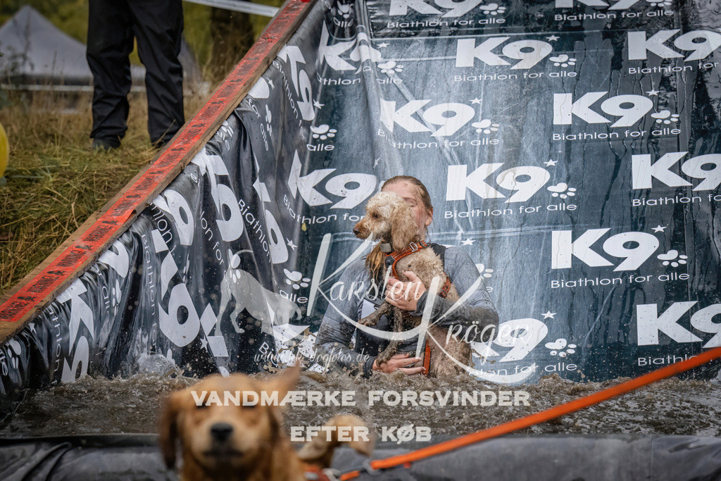 1230_ZZ90090 | kk-dogfotos