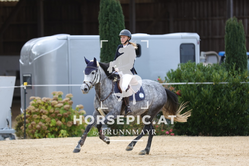 0P6A8901 | Willkommen bei Brunnmayr - Design & Fotografie – Ihrem Spezialisten für Reitturniere und Pferdeveranstaltungen in Oberösterreich, Salzburg und Bayern! Seit über 17 Jahren sind wir leidenschaftlich dabei.