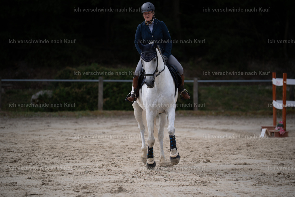 WL_ST_47_stoibphotography__SO10510 | working equitationturnier fotograf videograf stoibphotography marixx film working equitation deutschland reitsport turnierfotografie eventfotografie equestrian events