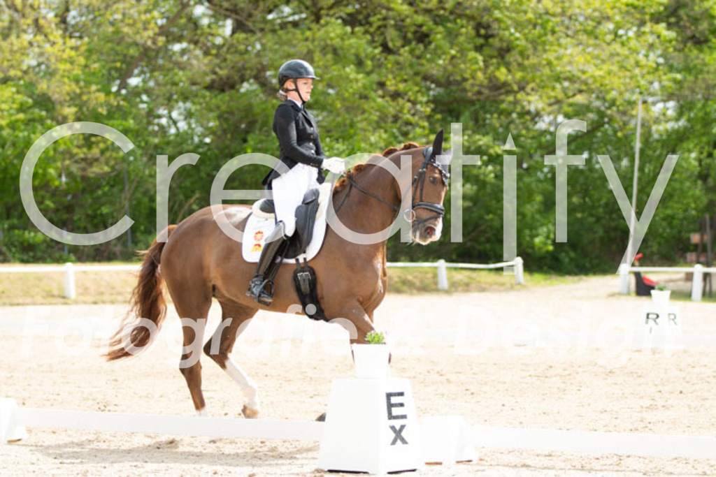 IMG_2306 | Creatify Fotografie