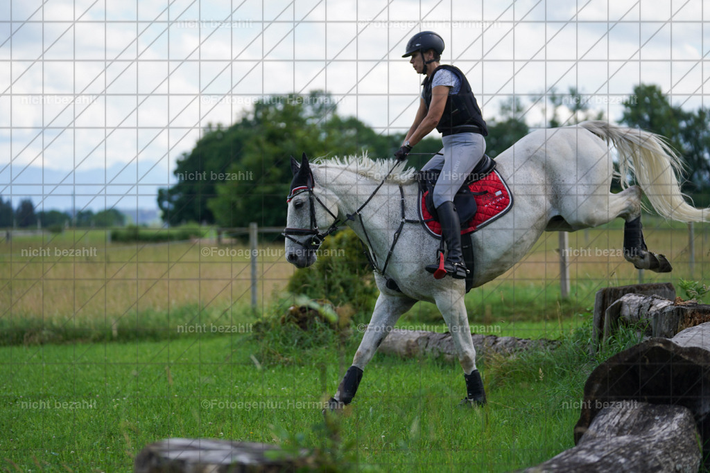 20240622-FAH07693 | Turnierfotografen Bayern, Reitsportbilder aus dem Geländekurs mit Felix Etzel auf dem Gut Waitzacker 2024
