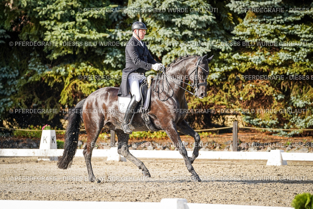 DSC00848 | Pferdegrafie