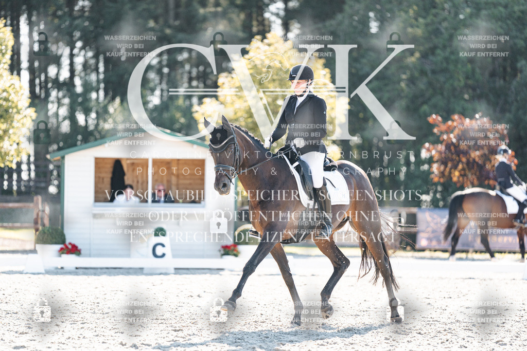 CK906361 | Turnierfotografie Pferdefotografie Trier Rheinland-Pfalz Pferdesport Reitsport Tierfotografie Sportfotografie Pferdevideo Pferdevideografie Equestrianvideography equestrianphotography  - Realisiert mit Pictrs.com
