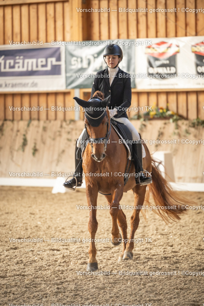 _D5A3200 | Emotionale Pferde- & People-Fotografie rund um Heidelberg, Leimen & Umgebung. Natürliche Fotos von Pferd, Mensch & Familie. Jetzt Termin sichern!