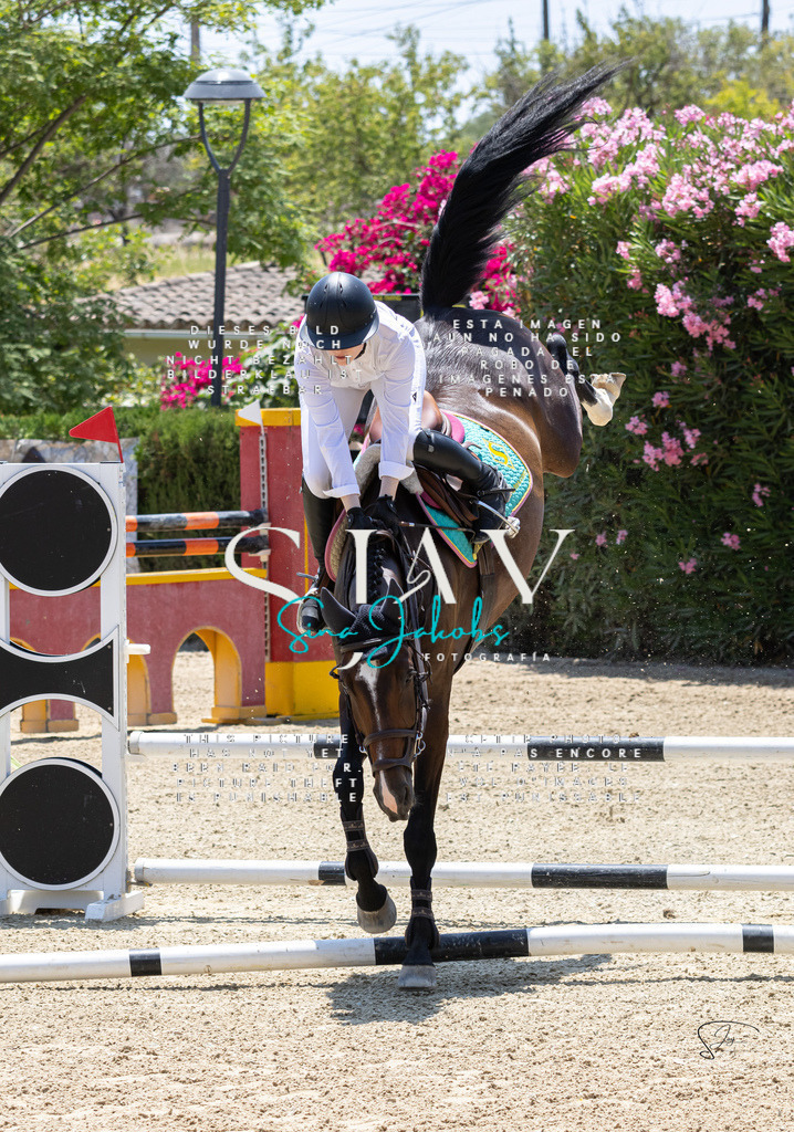 IMG_7403 | s-jay-photography - Realisiert mit Pictrs.com