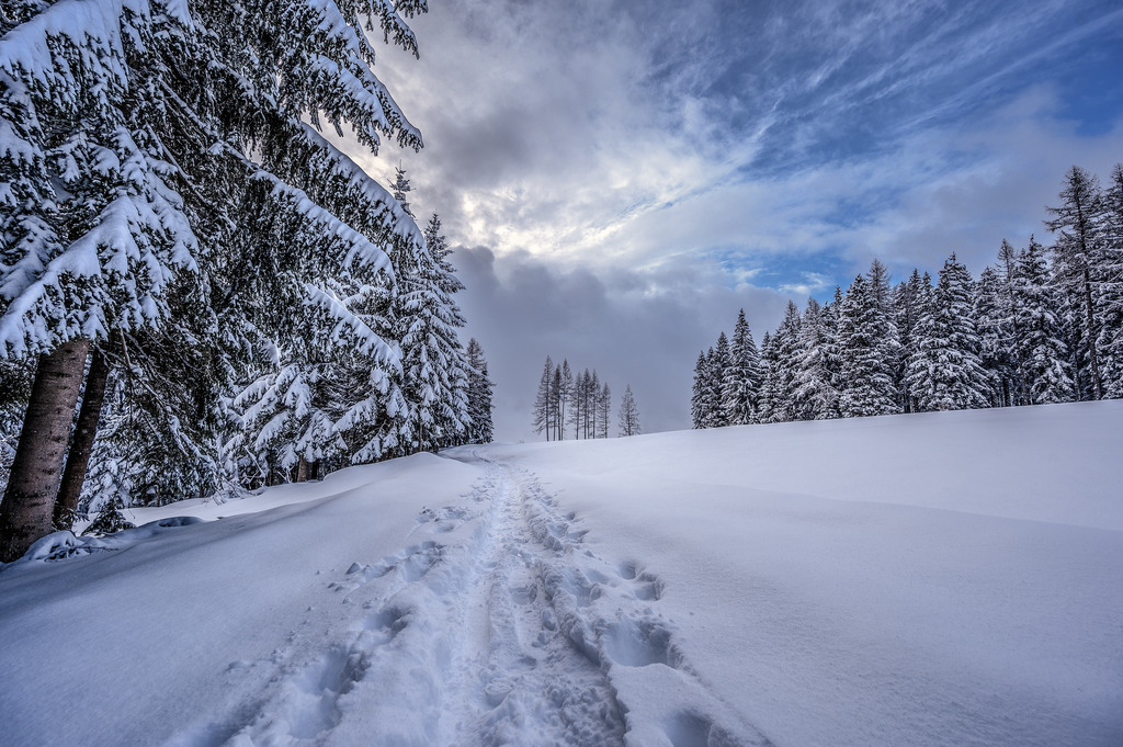 RRF_6338-HDR | Fotografie die berührt. - Realisiert mit Pictrs.com