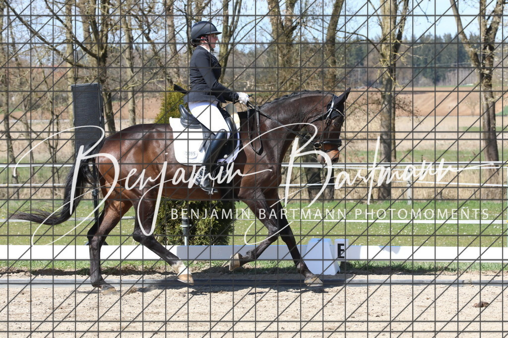 AZ2A4438 | Benjamin Bartmann Photomoments