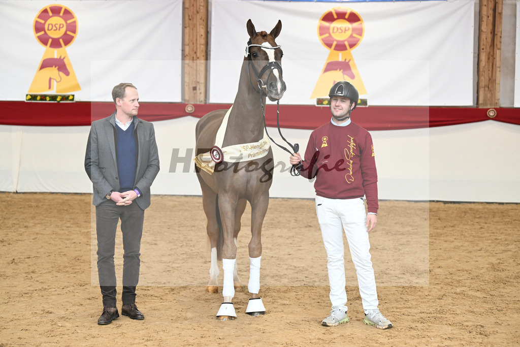 Kat.-Nr. 77 v. Sir Donnerhall I_Schafhof_2251907 | hf-fotografie - Realisiert mit Pictrs.com