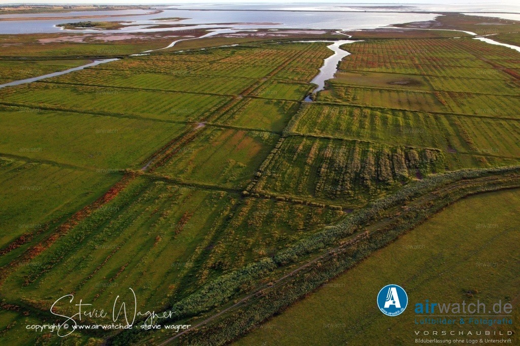 HattstedterKoog  & BeltringharderKoog | Entdecken Sie atemberaubende Luftbilder und Fotografien auf airwatch.de - Tauchen Sie ein in eine Welt voller faszinierender Aufnahmen aus der Vogelperspektive.