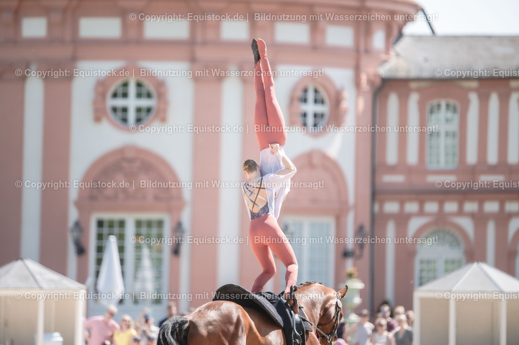 20230528_Voltigieren_NASPA_0418 | equistock