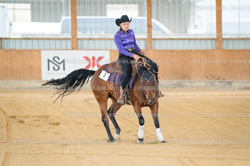 DSC07615 | Pferdegrafie