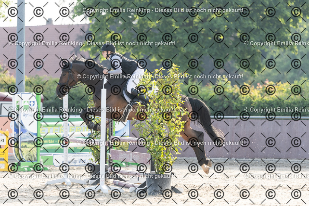 CL5A2139 | Emilia Reinking Fotografie - Realisiert mit Pictrs.com
