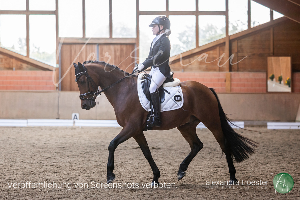 250913_Barop_09_239 | Farbklaex - Turnierfotografie - Realisiert mit Pictrs.com